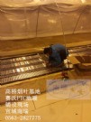高桥育苗基地电地暖铺设
